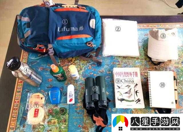觀鳥(niǎo)必備裝備清單
