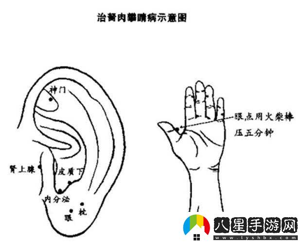 超級(jí)胬肉系統(tǒng)
