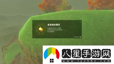 如何獲得塞爾達傳說