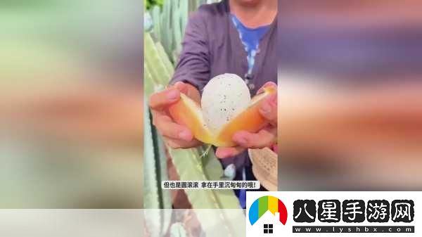 我愛搞52GAPP探索52G應用讓你愛上科技與生活的無縫連接！