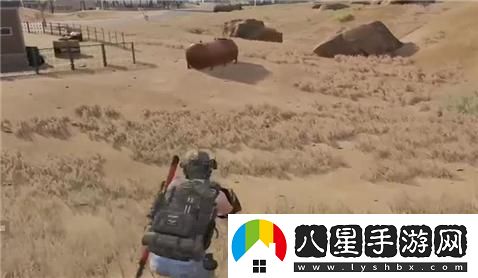 風(fēng)云島伏擊圈完整攻略與技巧分享，助你輕松勝出