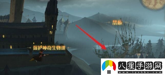 哈利波特魔法覺醒更換學(xué)院方法教程