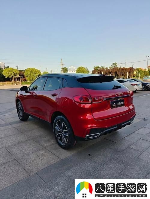 領(lǐng)先科技WEYVV5國(guó)產(chǎn)車(chē)型