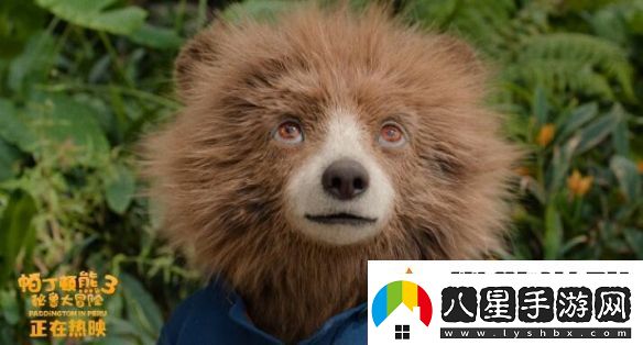 熱映中！帕丁頓熊3