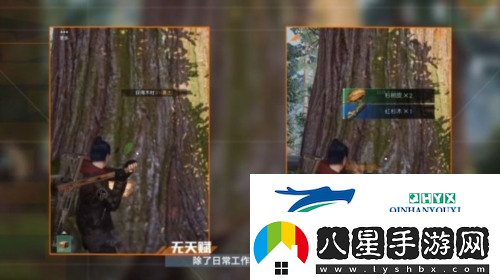 黎明覺醒采集怎么沒(méi)有經(jīng)驗(yàn)了