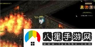 冰碧帝皇蝎的驚艷外觀與獨(dú)特特征揭秘：探索這一神秘生物的真實(shí)面貌