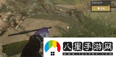 黎明覺醒礦山采集點(diǎn)有哪些黎明覺醒礦山采集點(diǎn)位置介紹