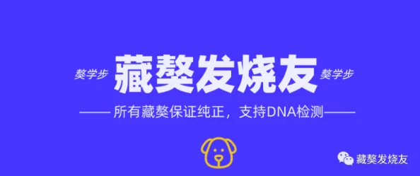 國產(chǎn)羞羞站內(nèi)容豐富多樣用戶體驗(yàn)不錯(cuò)但希望能增加更多互動(dòng)功能