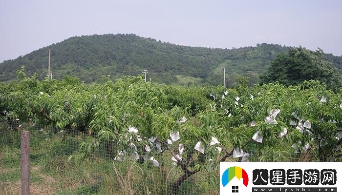 “嶺風(fēng)”來襲日本水蜜桃笑傲游戲解說界?。?></p><h3>2. 游戲解說界的“桃花源記”</h3><p>話說這嶺蜜桃，怎么就與游戲解說界扯上了關(guān)系？諸位大人，且聽我一一道來。這嶺風(fēng)桃，猶如那世外桃源，讓人心生向往。而咱們游戲解說界，正需要這樣的“桃花源”，來激發(fā)創(chuàng)意，引領(lǐng)潮流。</p><h3>3. “嶺風(fēng)”助陣，解說員笑傲江湖</h3><p>有了這嶺蜜桃的助陣，解說員們仿佛吃了“仙桃”，功力大增。你看那直播間里，解說員們口若懸河，妙語連珠，仿佛置身于桃花林中，讓一眾觀眾為之陶醉。</p><h3>4. 嶺風(fēng)笑談：一場游戲一場夢</h3><p>這嶺蜜桃，不僅讓人品嘗到了美味，更是激發(fā)了解說員們的靈感。他們以桃為媒，談笑間，將游戲世界與現(xiàn)實(shí)生活融為一體，讓觀眾在一場游戲中，體驗(yàn)一場夢境。</p><h3>5. “桃”醉江湖，誰與爭鋒？</h3><p>有了嶺蜜桃的助力，游戲解說界可謂是“桃”醉江湖。各位大人，且看這場爭鋒，誰將成為“桃王”，獨(dú)領(lǐng)風(fēng)騷？</p>            </div>
            <div   class=