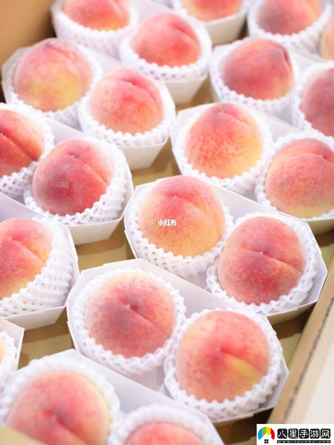 “嶺風(fēng)”來襲日本水蜜桃笑傲游戲解說界??！
