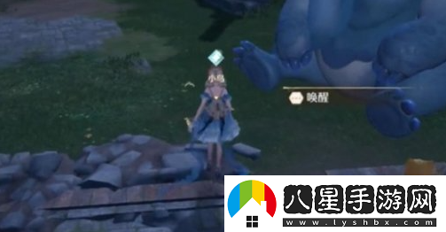 無限暖暖如何成功喚醒小鳥？詳解有效喚醒小鳥的方法