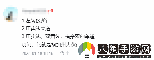 陳震測(cè)試特斯拉FSD