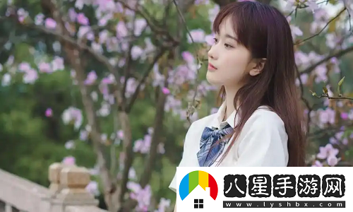以來球網直播