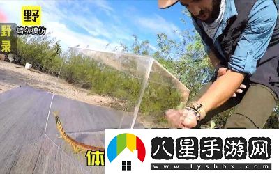 智慧再現(xiàn)！沙漠蜈蚣的必勝打法