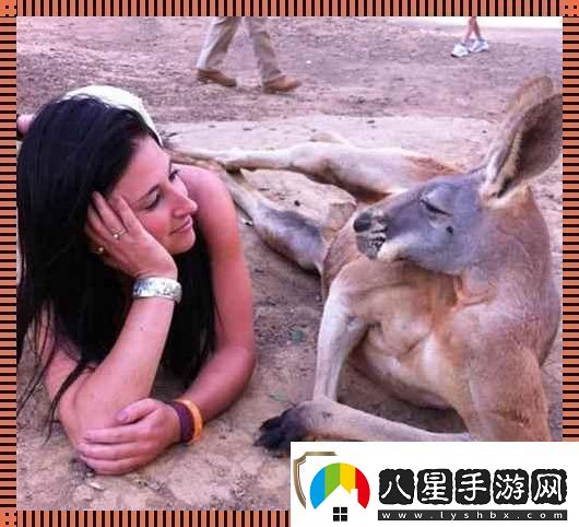“奇趣互動！高清時代的人物與動物‘吵架’日常