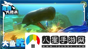戰(zhàn)國無雙2道具的樣式與實戰(zhàn)價值分析：如何利用道具提升戰(zhàn)力