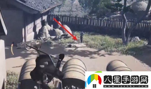燕云十六聲薔薇風信任務怎么過