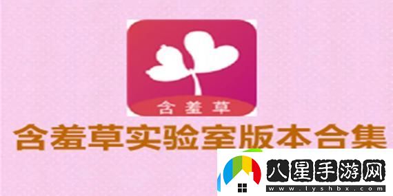 揭開神秘面紗