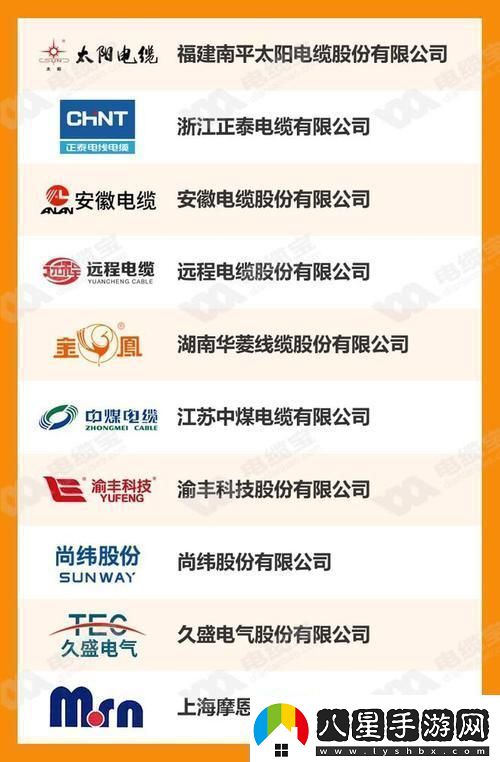 綜合布線圈的國(guó)潮崛起笑看創(chuàng)新狂潮誰(shuí)主沉浮