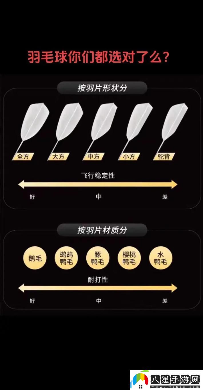 AAAA級毛與AAAA的區(qū)別