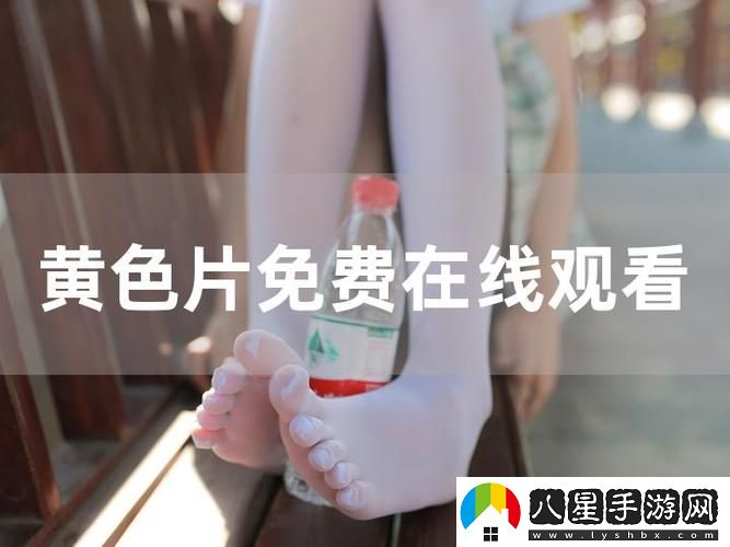 免費高清在線觀看人數(shù)在哪