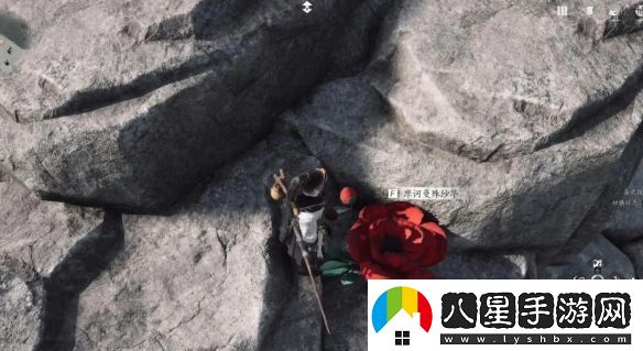 燕云十六聲花中愿任務(wù)怎么過