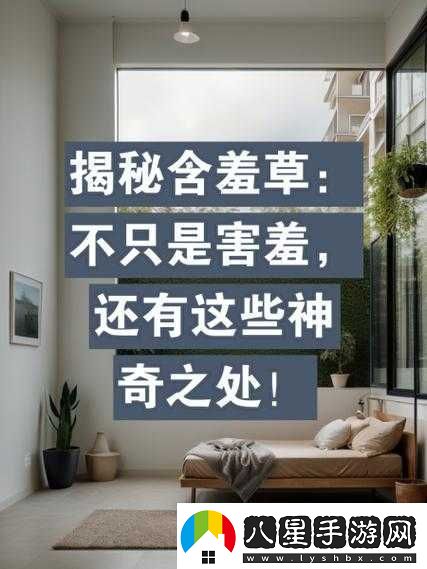 含羞草實(shí)驗(yàn)視秀恩愛