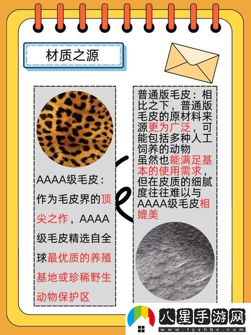 AAAA級(jí)毛皮與AAAA毛皮的區(qū)別