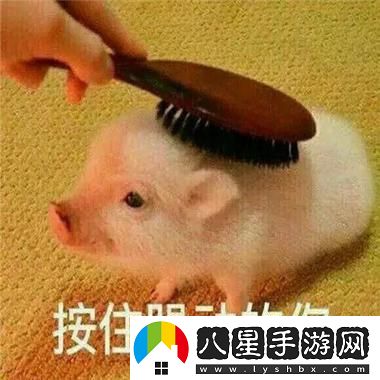 沒帶罩子讓校霸C了一節(jié)課的