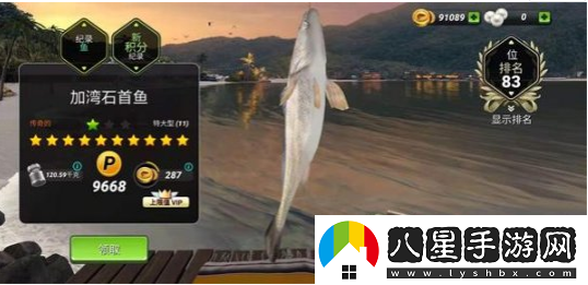 甩竿識魚兩不誤釣魚大對決帶你深入認識鯊魚