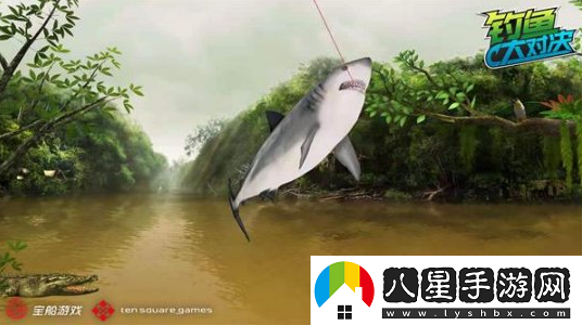 甩竿識魚兩不誤釣魚大對決帶你深入認識鯊魚
