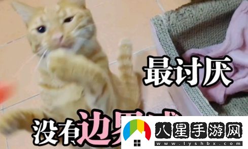 討厭沒有邊界感的人是什么梗絡(luò)用語討厭沒有邊界感的人梗意思及出處分享