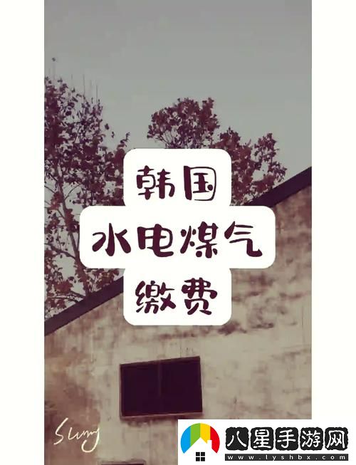 探索“好看的韓國(guó)三色電費(fèi)”的魅力與獨(dú)特設(shè)計(jì)