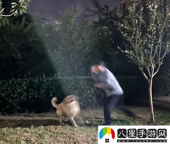 人狗大戰(zhàn)5免費(fèi)在線觀看完整版火爆上線