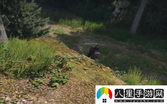 天國(guó)拯救2潰瘍營(yíng)地在哪
