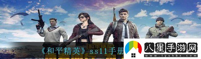 和平精英ss11手冊(cè)槍皮膚是什么