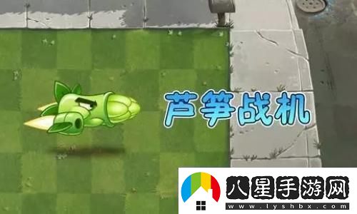 帝國時(shí)代3為什么顯示沒有地圖顯示