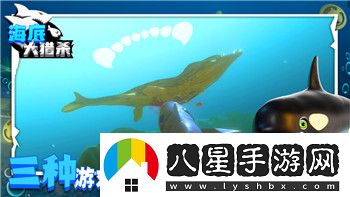 海賊無雙Switch雙人設置教程