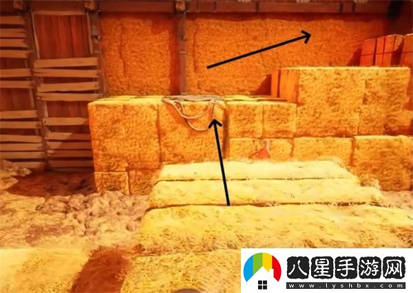 雙影奇境霓虹復(fù)仇農(nóng)場生活支線任務(wù)攻略