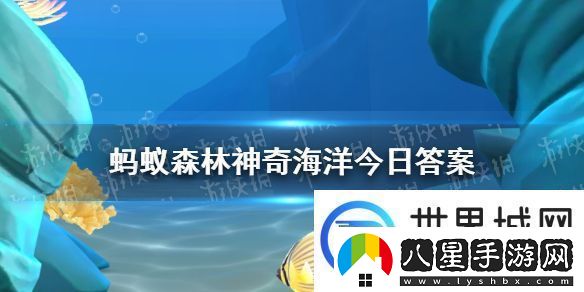 以下哪種海洋動物沒有耳廓神奇海洋2月2日答案