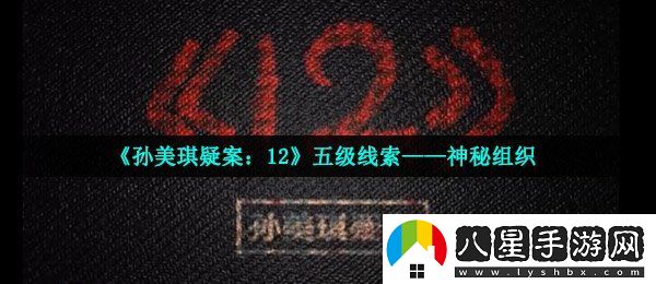 孫美琪疑案12五級(jí)線索神秘組織在哪