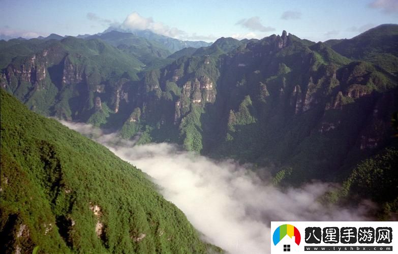 內(nèi)容幽默一個添b一個添3個人添