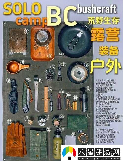 必看往日不再野外武器保存秘籍！90%玩家都不知道的生存訣竅