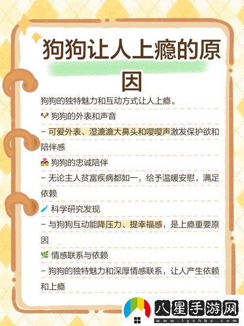 面對寵物狗的魔力