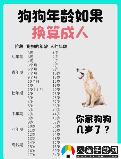 深入探討日本Mindup狗與人類狗的區(qū)別