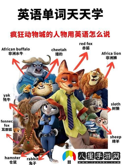 歐美動物人物PPT網(wǎng)友分享