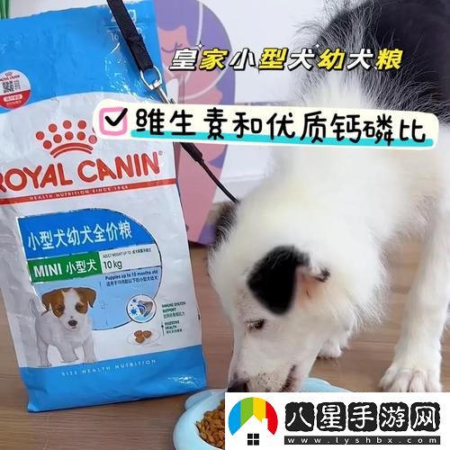 人狗膠配方大全流暢不卡頓
