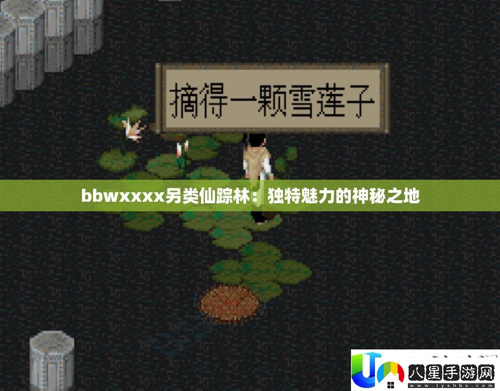 bbwxxxx另類仙蹤林