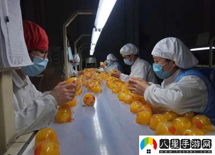 9i果凍制作廠