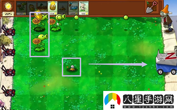 植物大戰(zhàn)僵尸雜交版最全玩法植物大戰(zhàn)僵尸雜交版保姆級攻略